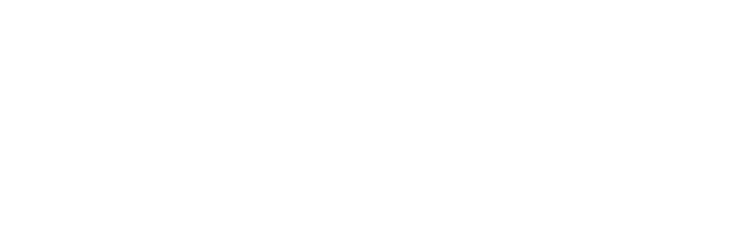 ACL Cargo Group